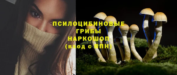 гашиш Абаза