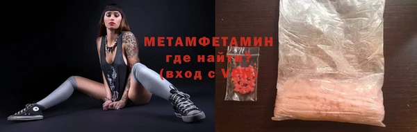 прущие грибы Сосновый Бор
