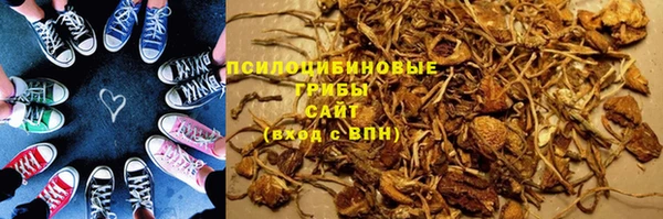 дурь Алексин