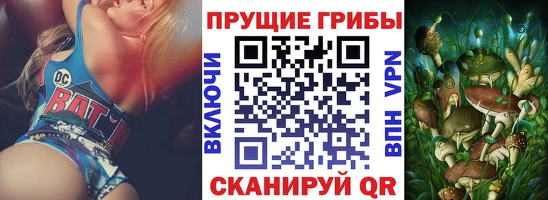 Псилоцибиновые грибы мицелий закладки Избербаш